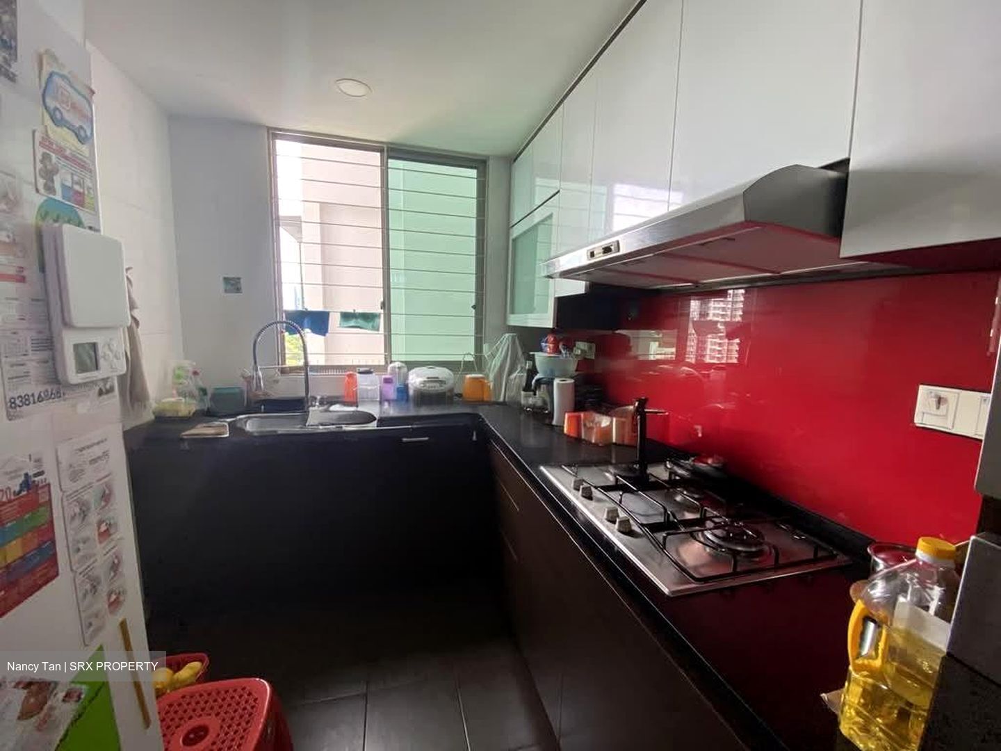 Amaryllis Ville (D11), Condominium #596154471